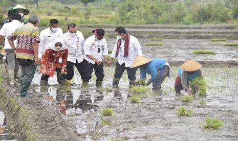 In Picture Mentan SYL Di Tahun 2022 Genjot Produksi Padi Lewat