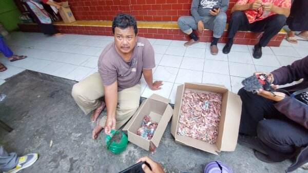 Nyesek Pol Disimpan Di Celengan Plastik Uang Tabungan Milik Penjaga