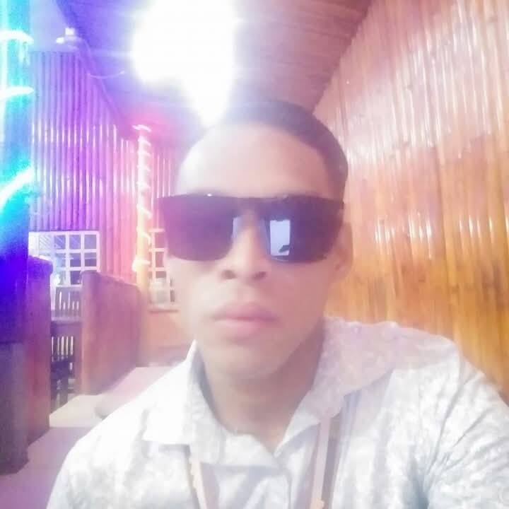 Hino FLORES 