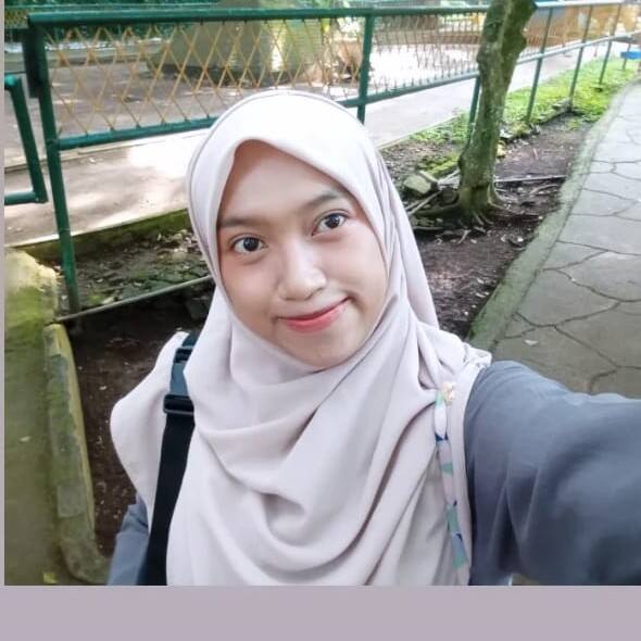 Novi safitri