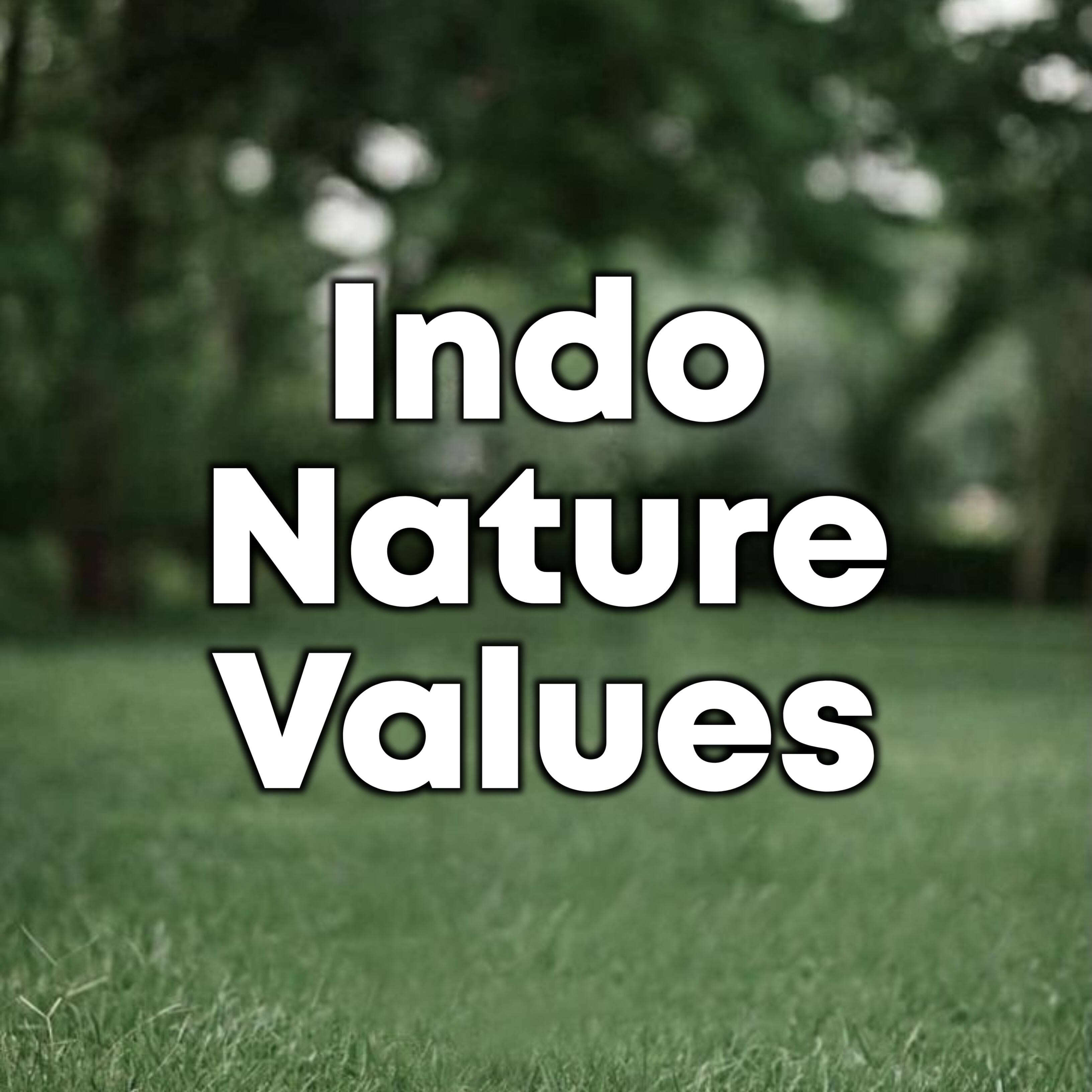 INDO NATURE VALUES