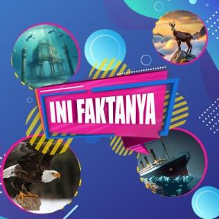 Ini Faktanya