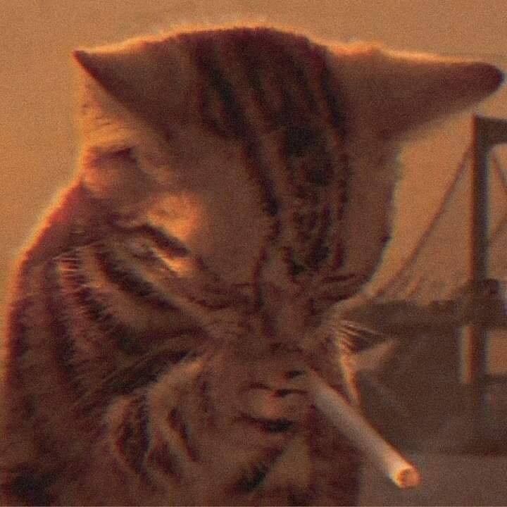 Aan