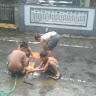 haris widi