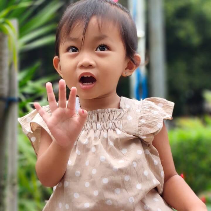 Dwi wawan saputra