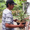Mang Iip Garden