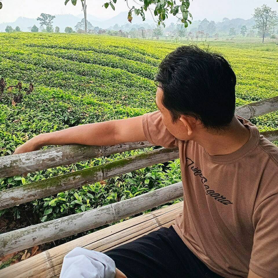 avatar-user