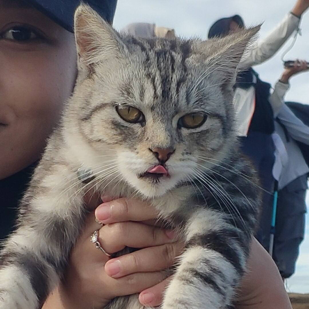 AJI SISWOYO