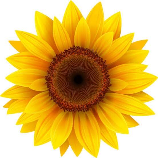 DIYflowerId