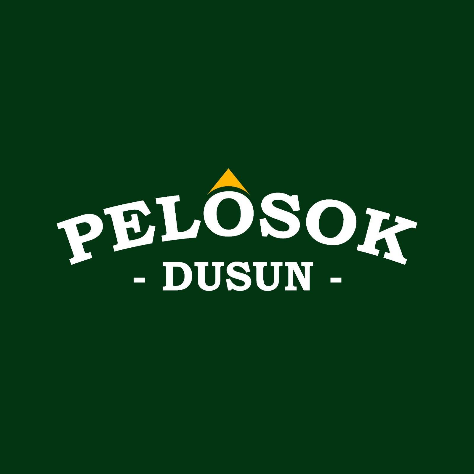 Pebri Alviki