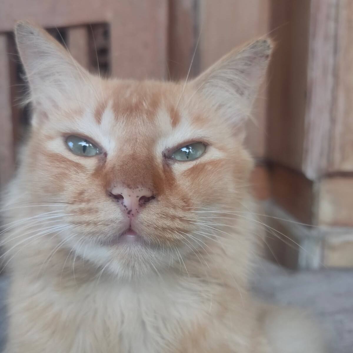 Septian Nugraha Samta Pratama