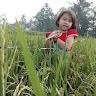 Ade Laras