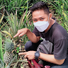 Syahrul Anwar