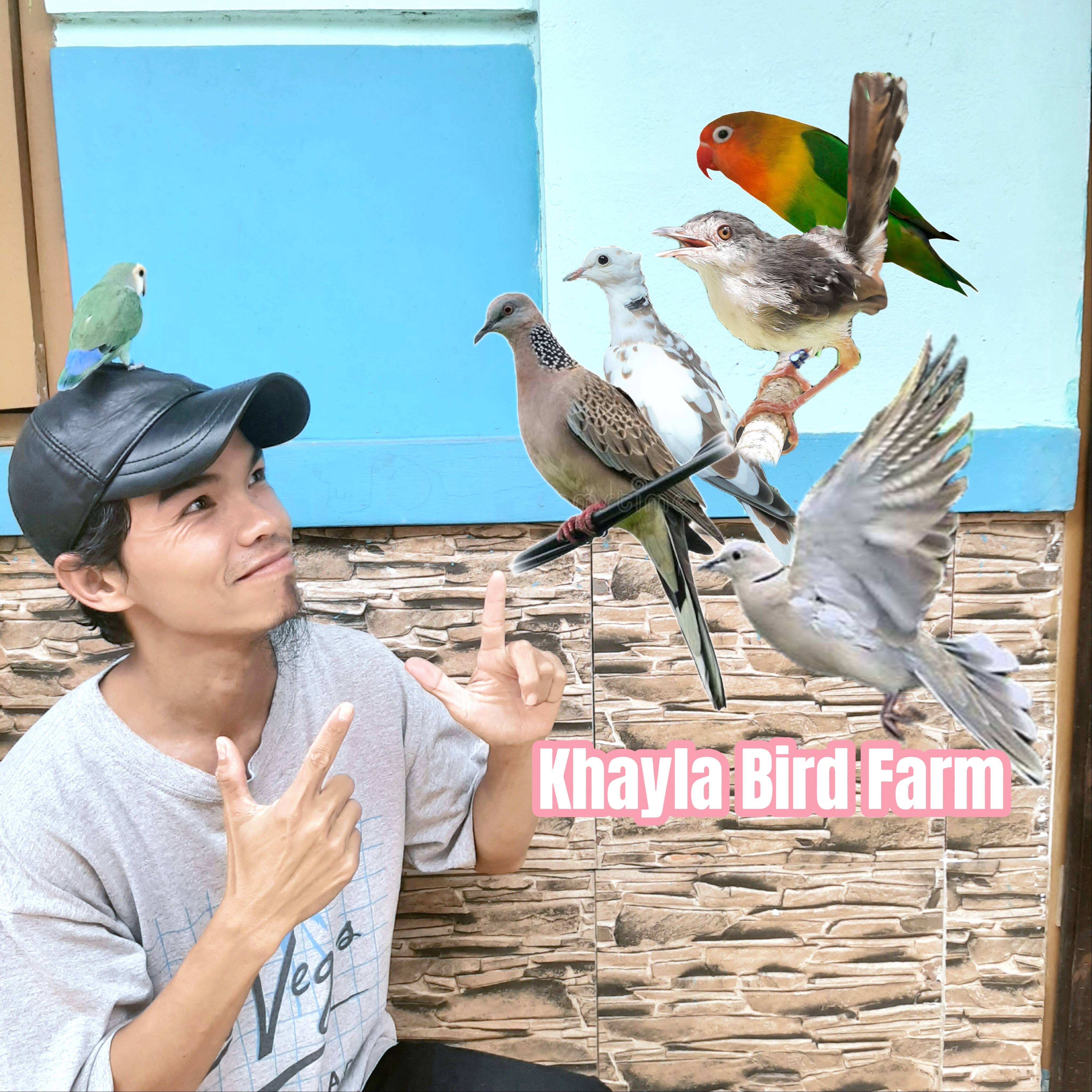 syarif udin