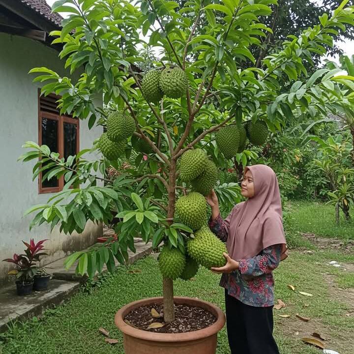 Elang Pamungkas