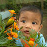 Andri Yani
