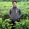 avatar-user