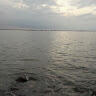 riva rinfalivia
