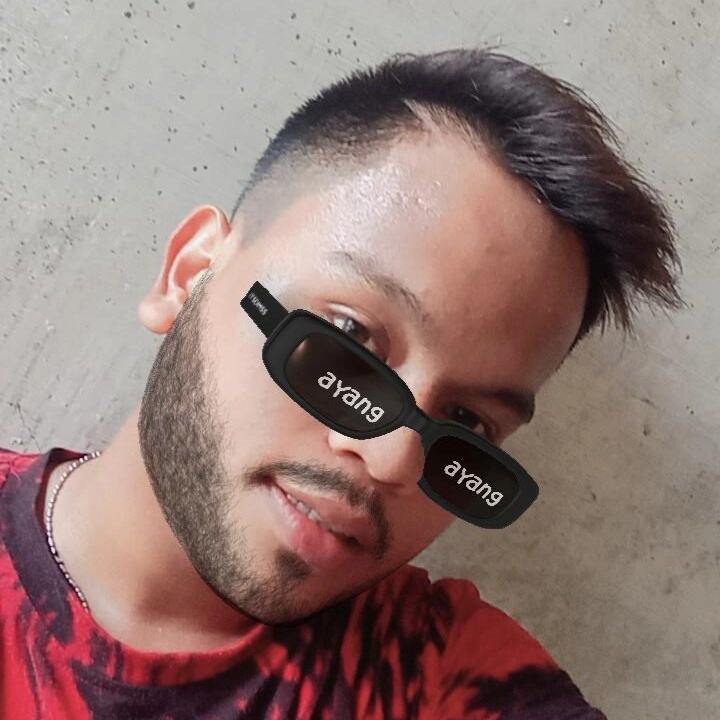 APRI AGUNG ERDIANSAH