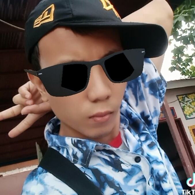 almer junianta Pd