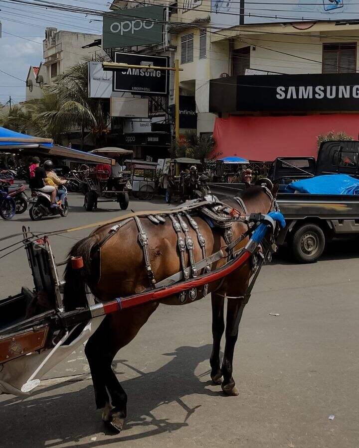 Komang Dewa