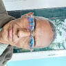 SaLeh AhmadZ