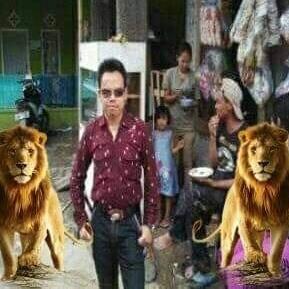 hakim