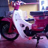 User Photo