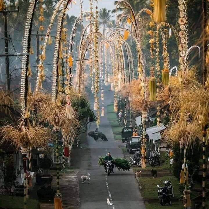 doris airlangga