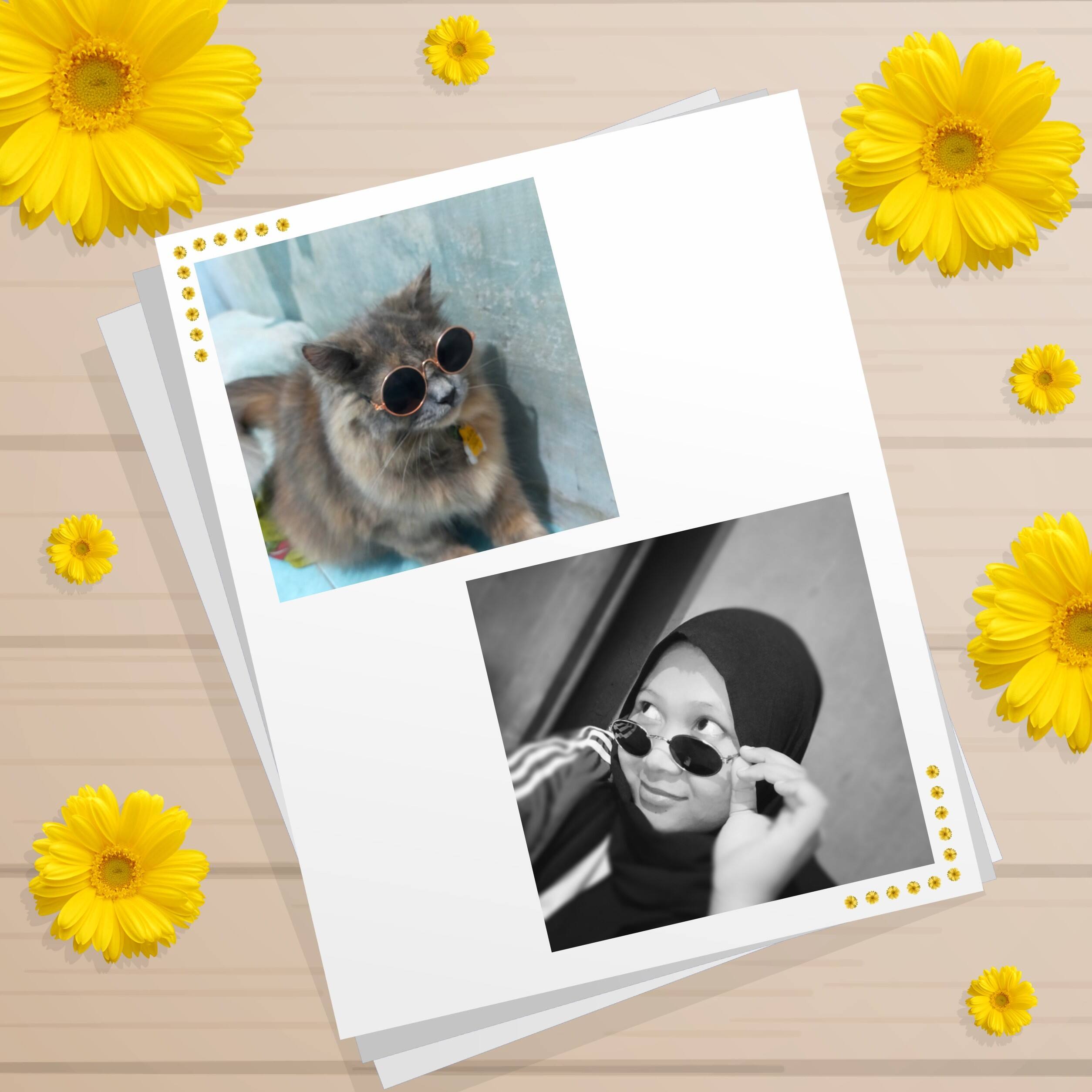 User Photo