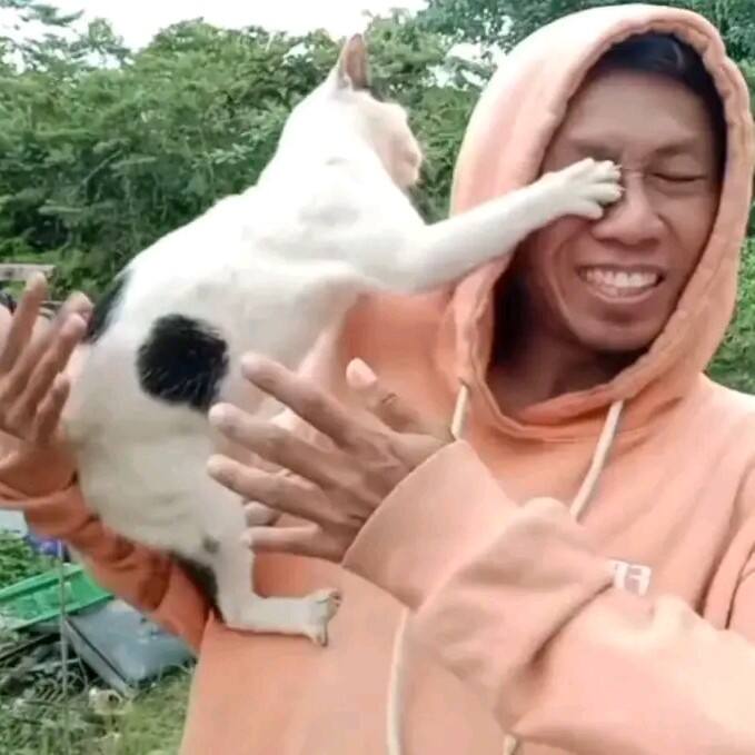 Bawazierlee