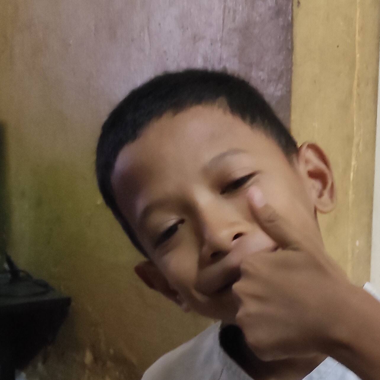 Muhammad Fauzi Arroyan