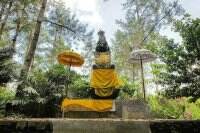 5 Tempat yang Diduga Jadi Lokasi Asli KKN di Desa Penari