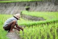 Pengelolaan Keuangan Desa Berantakan, Ini Sebab Utamanya Menurut BPKP