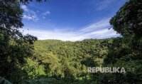Hutan Purba Ditemukan di Dasar Lubang Pembuangan Raksasa China