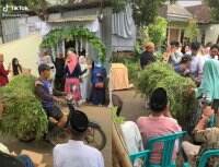 Viral! Pemotor Pengangkut Rumput Terobos Resepsi Pernikahan, Warganet: Tampan dan Pemberani