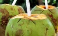 Penjelasan tentang Air Kelapa untuk Penderita Diabetes