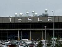 Pabrik Tesla di Jerman Kebakaran, Beruntung Tak Ada Korban Jiwa