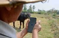 Koneksi Internet Jadi Penentu Hidup dan Matinya Warga Myanmar di Zona Konflik