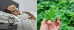10 Tanaman obat mampu mengatasi insomnia, mudah didapat