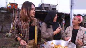 I Love Indonesia - Proses Pemanenan Labu Kuning