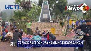 Sapi Kurban Dusun Kecil