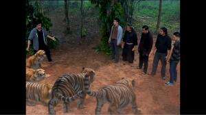 Akankah Para Inye Kembali Ke Tubuh Tuannya?