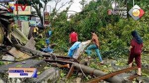 Pohon Tumbang Timpa Kendaraan Warga