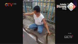 Heboh! Rumah Kosong Jadi Sarang Ular