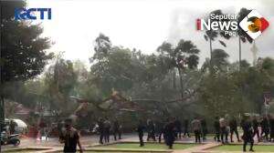 Pohon Tumbang Di Balai Kota DKI Timpa 4 Polisi