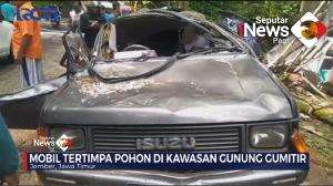 Pohon Tumbang Tertimpa Mobil