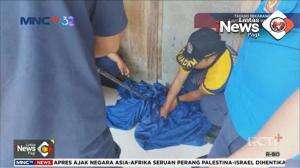 Evakuasi Kera Ekor Panjang