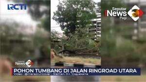 Angin Kencang, Pohon dan Tiang listrik Ambruk