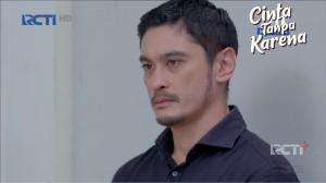 Cinta Tanpa Karena - Eps. 337-338